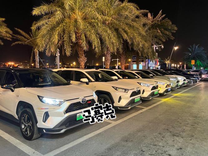 rav4车友会-